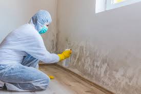 Best Post-Construction Mold Inspection  in USA